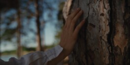 CHRISTOPH SPRANGER // PHOTOGRAPHER & DIRECTOR
