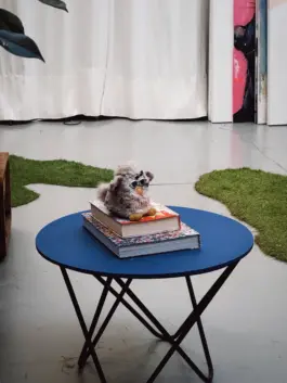 CHRISTOPH SPRANGER // PHOTOGRAPHER & DIRECTOR