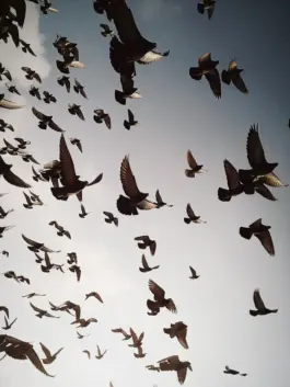 CHRISTOPH SPRANGER // PHOTOGRAPHER & DIRECTOR