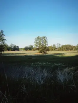 CHRISTOPH SPRANGER // PHOTOGRAPHER & DIRECTOR