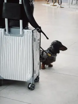 CHRISTOPH SPRANGER // PHOTOGRAPHER & DIRECTOR