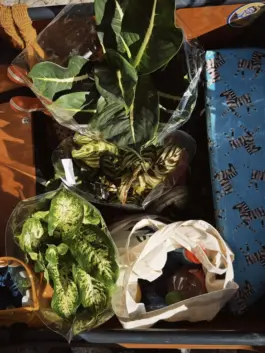 CHRISTOPH SPRANGER // PHOTOGRAPHER & DIRECTOR