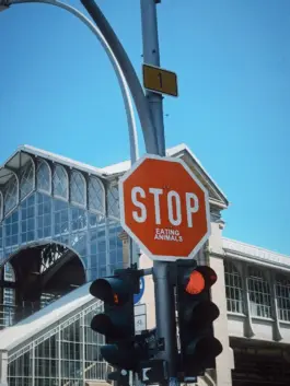 CHRISTOPH SPRANGER // PHOTOGRAPHER & DIRECTOR