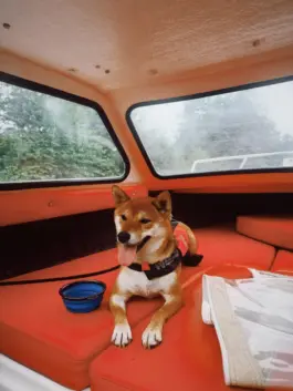 CHRISTOPH SPRANGER // PHOTOGRAPHER & DIRECTOR