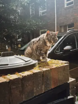 CHRISTOPH SPRANGER // PHOTOGRAPHER & DIRECTOR