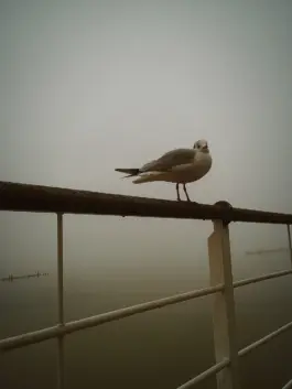 CHRISTOPH SPRANGER // PHOTOGRAPHER & DIRECTOR