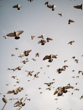 CHRISTOPH SPRANGER // PHOTOGRAPHER & DIRECTOR